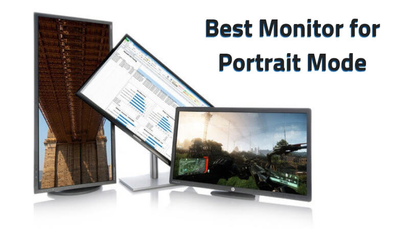 Best Monitor for Portrait Mode